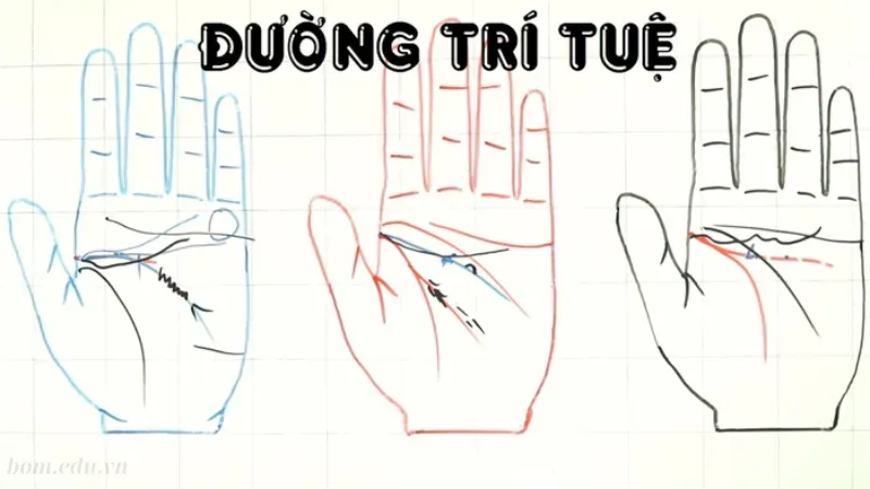 Bàn tay của tướng người khổ trước sướng sau