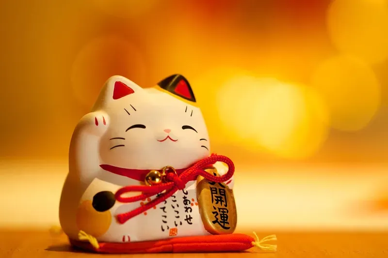 Chọn ảnh mèo làm ảnh đại diện cho trang cá nhân của bạn để thể hiện sự dễ thương