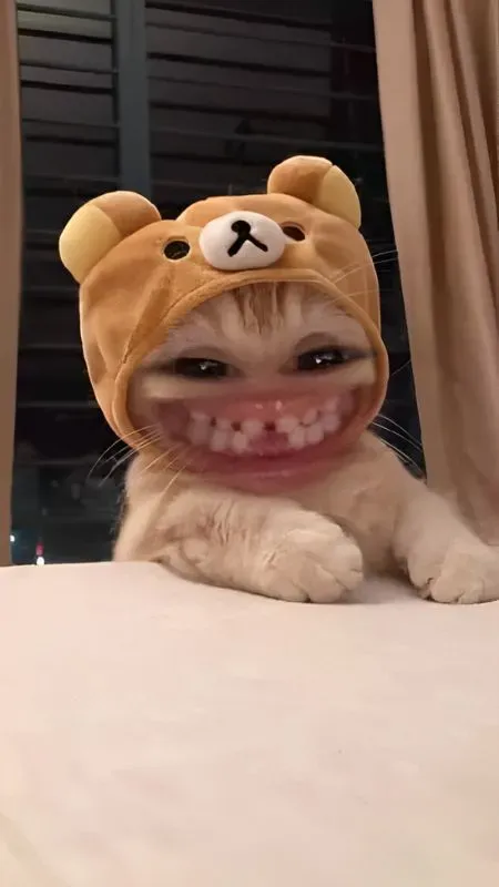 Hình ảnh meme avatar vô tri giúp tạo nên sự vui vẻ và giải trí cho người xem
