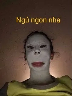 Ảnh meme hài chó cực kỳ đáng yêu với những khoảnh khắc vui nhộn không thể bỏ qua.