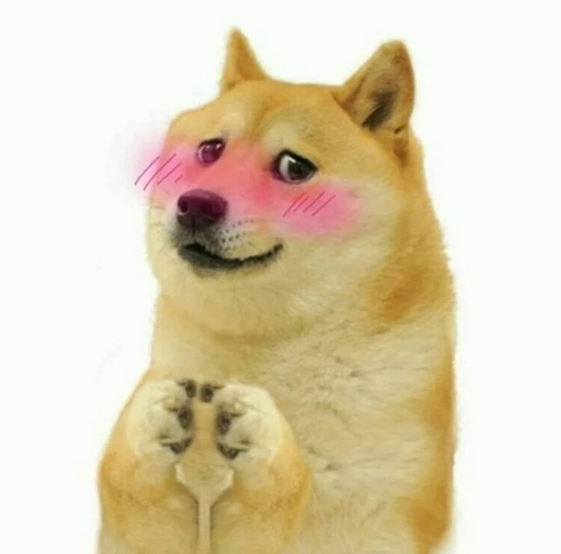 Meme chó ngáo với biểu cảm ngộ nghĩnh khiến ai cũng thích thú.