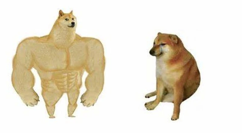 Meme sống chó đang là trào lưu hot trên mạng xã hội.
