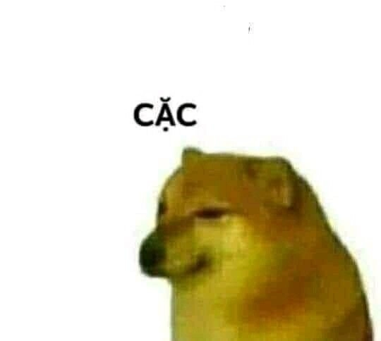 Hình ảnh chó meme hài hước làm bạn thư giãn mỗi ngày.