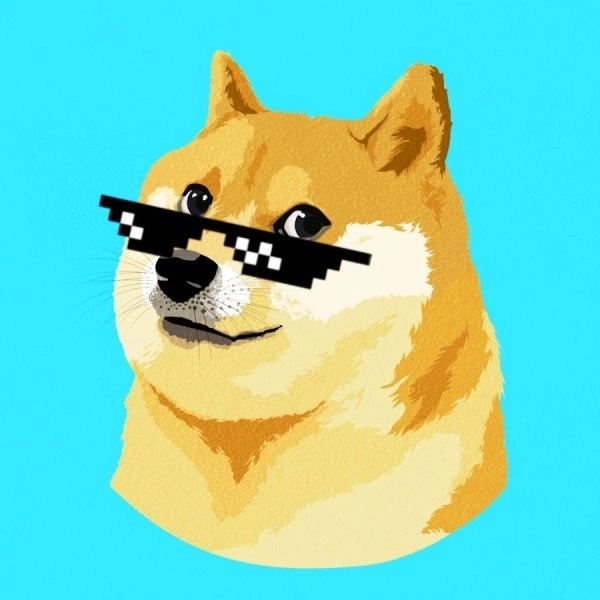 Meme chó chihuahua mang lại sự hài hước đáng yêu khó cưỡng.