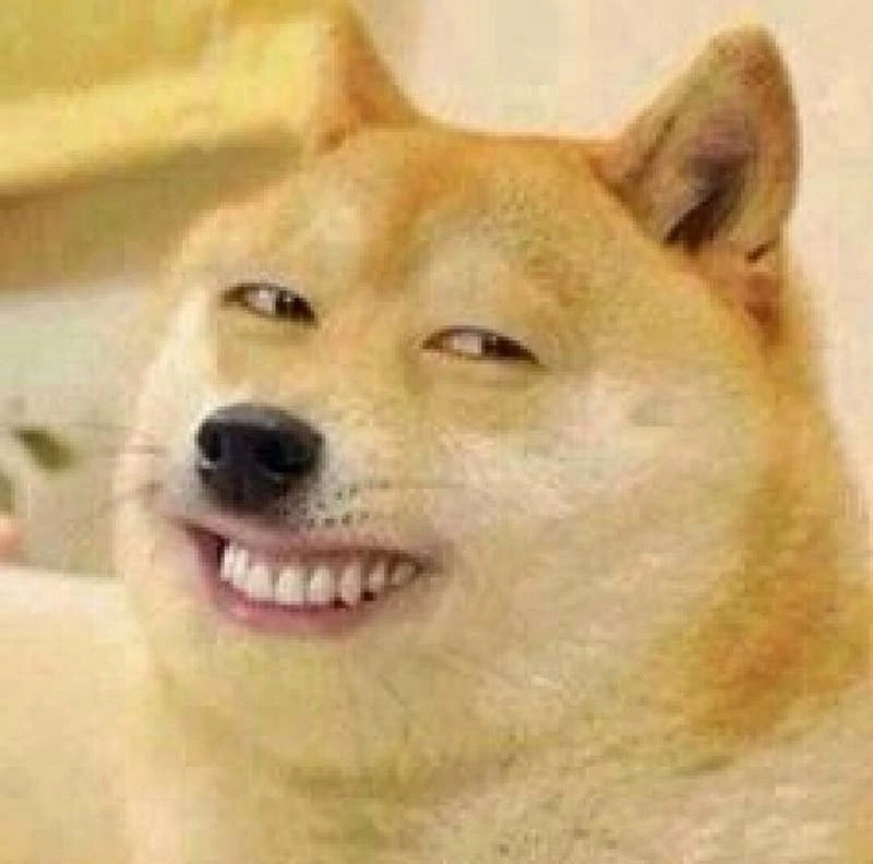 Hình nền chó meme khiến bạn nổi bật với phong cách độc đáo.