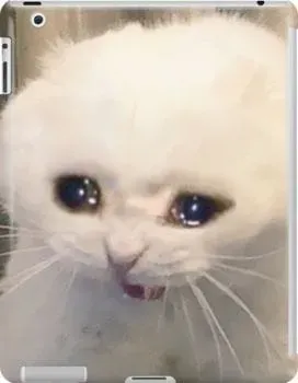 Crying pepe meme siêu hài, là lựa chọn không thể thiếu.