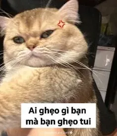 Crying meme drawing là nghệ thuật hài hước không thể bỏ qua.