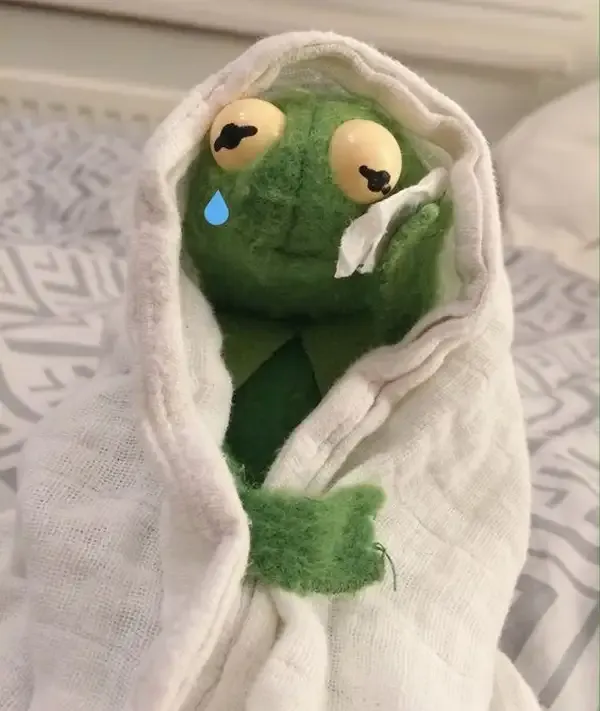 Meme frog crying siêu hài, lan tỏa niềm vui mọi nơi.