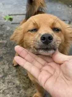 Aya asagiri crying meme với biểu cảm ấn tượng, nổi bật trên mạng.
