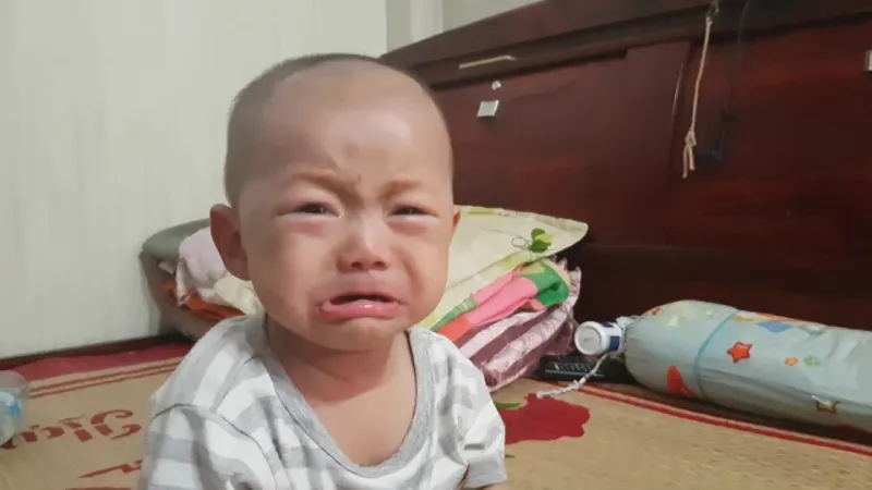 Chopper crying meme lan tỏa tiếng cười trong cộng đồng fan anime.