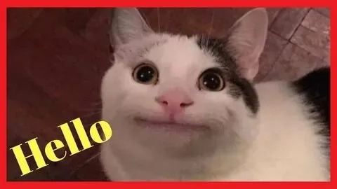 Vẽ meme hài với những hình ảnh độc đáo và vui nhộn mang đến tiếng cười thoải mái.