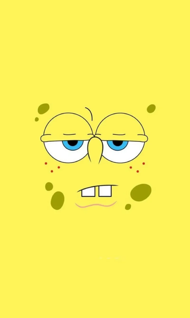 Hình nền pc meme tuyệt vời, làm mới không gian làm việc của bạn.