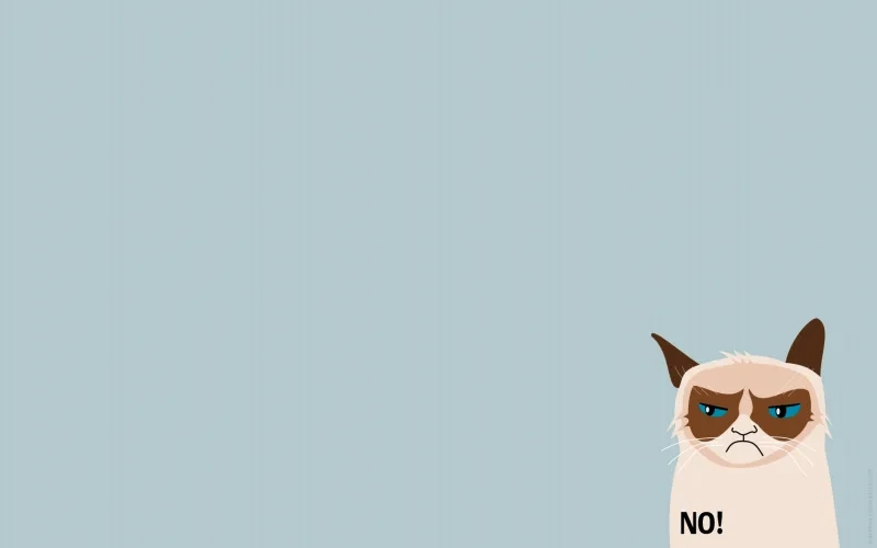 Hình nền hài meme, tạo sự vui vẻ cho mọi cuộc trò chuyện.