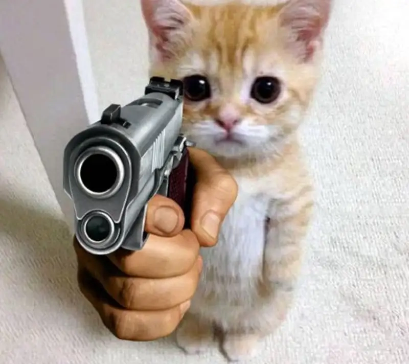 Meme đánh hài hước, chế ảnh cực vui khiến ai cũng cười 55