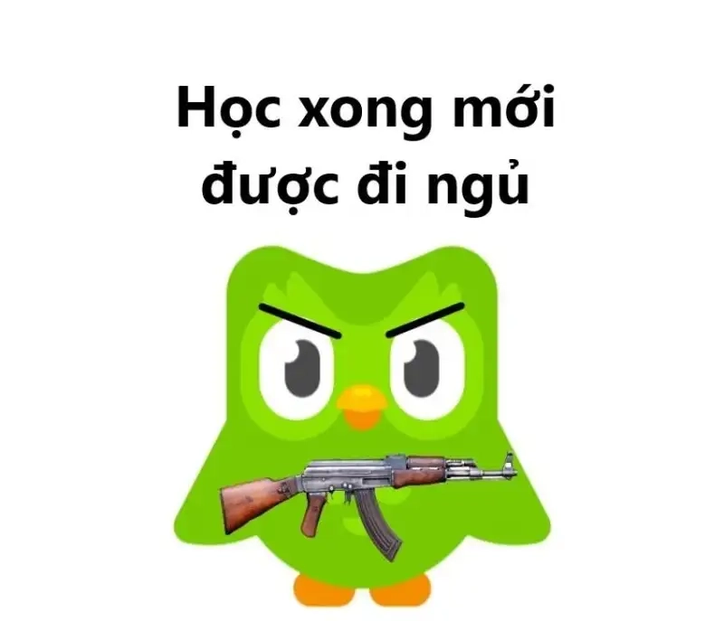 Loopy meme thả tim dễ thương, chia sẻ ngay với bạn bè!