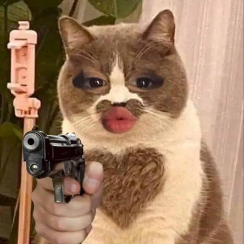 Mèo meme thả tim thật dễ thương, chắc chắn bạn sẽ yêu thích.