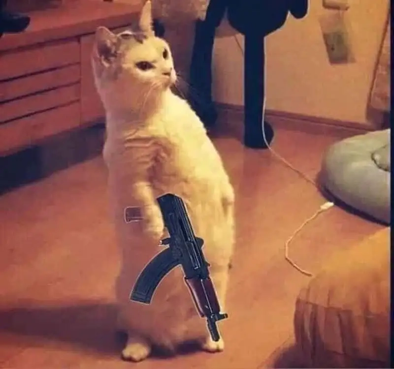Meme trái tim cute này mang lại không khí dễ thương, thật tuyệt!