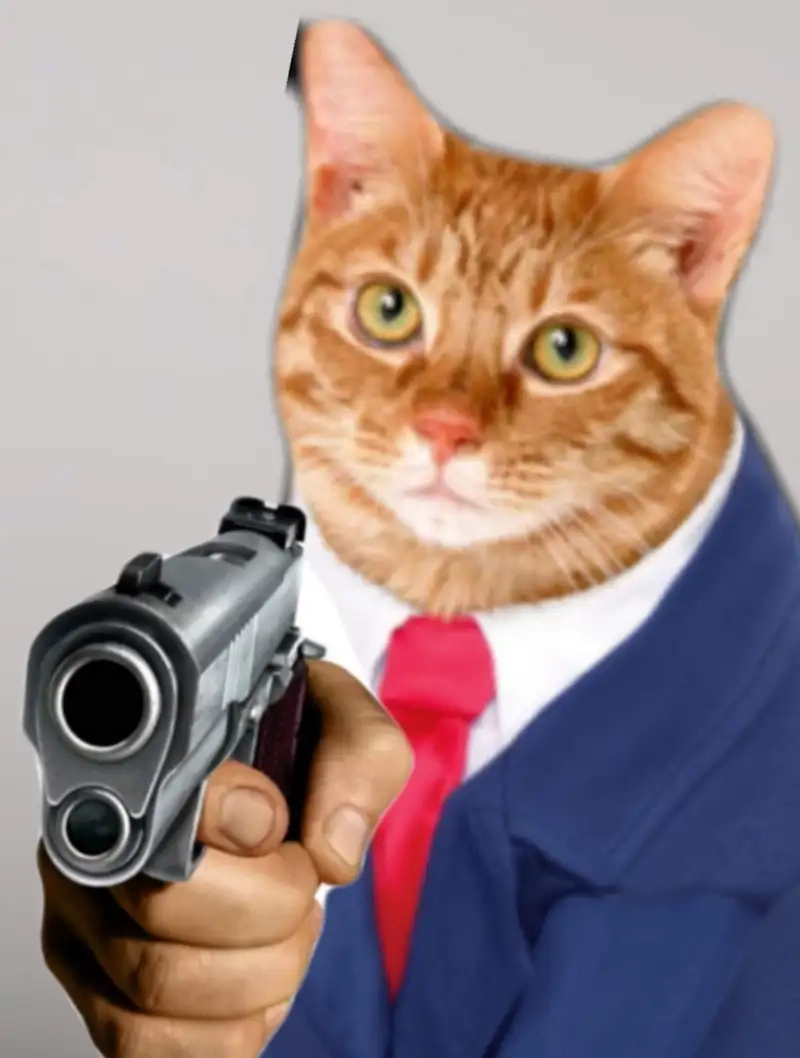 Meme tặng trái tim là cách tuyệt vời để gửi yêu thương!
