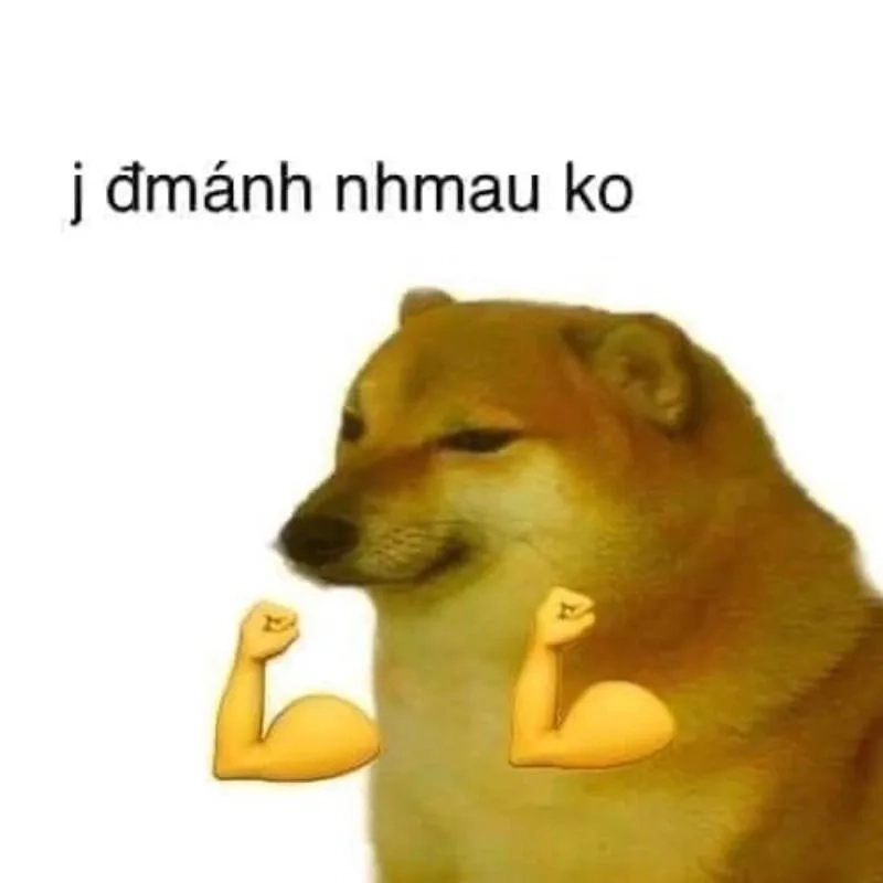 Meme tức giận cute, đáng yêu nhưng vẫn hài.