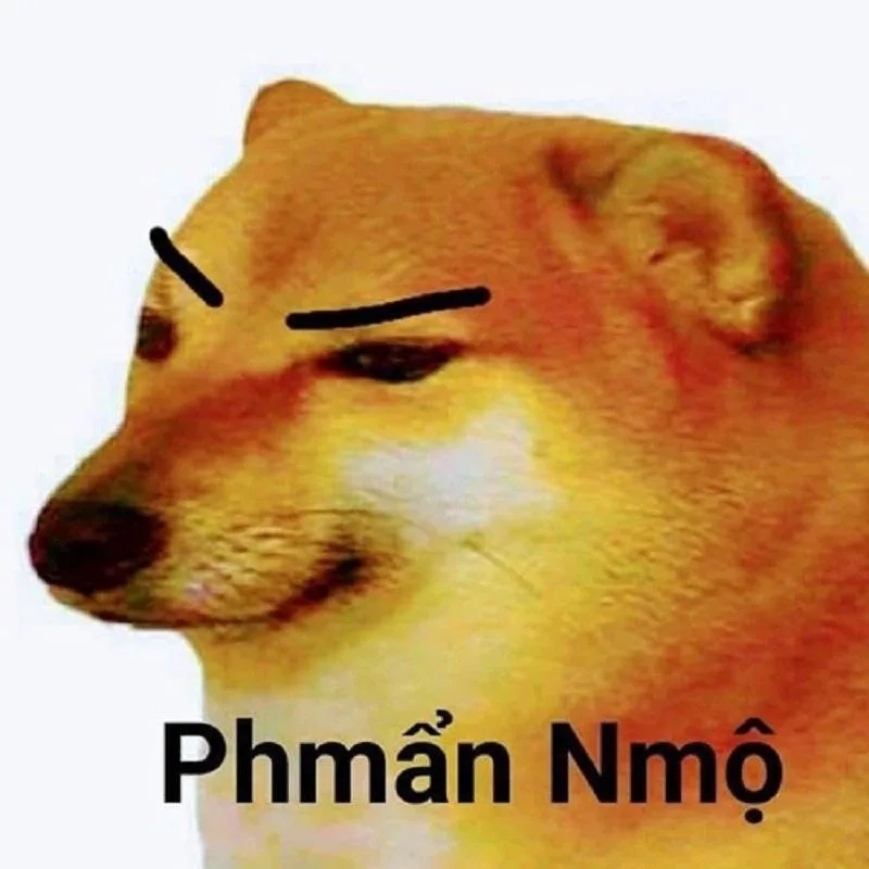 Meme giận dữ nhưng hài hước, chuẩn troll bạn bè.
