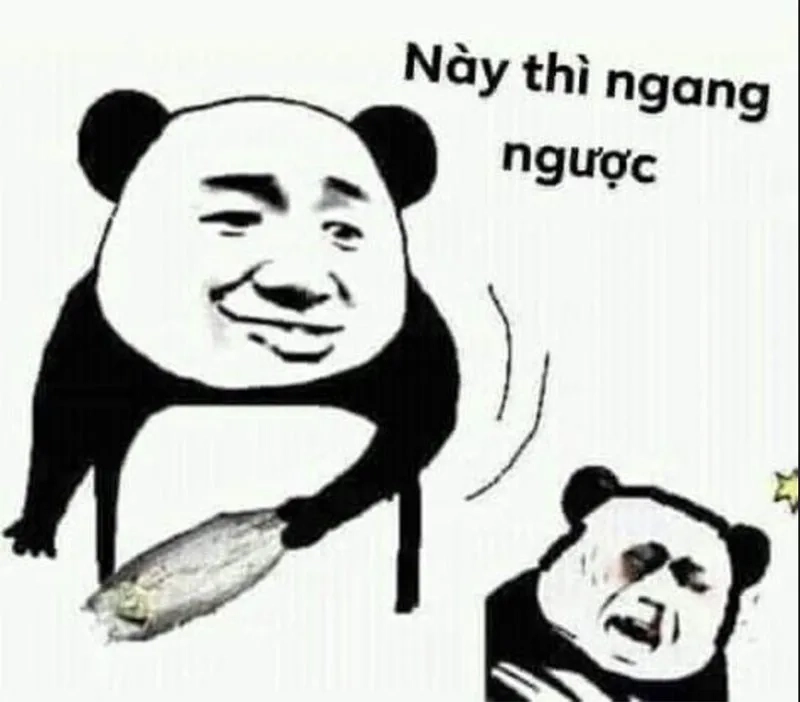 Meme tức giận mèo siêu hài, cực kỳ viral.