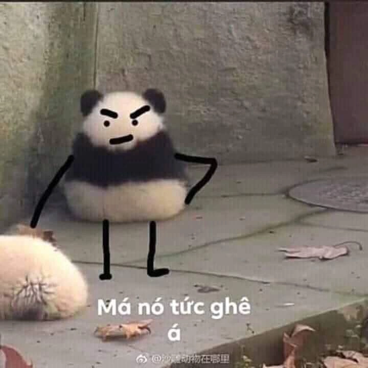 Ảnh chế meme tức giận cực chất, không thể bỏ qua.