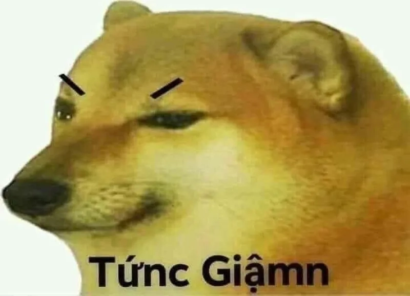 Sự tức giận của người lửa meme cực ngầu, rất đáng thử.