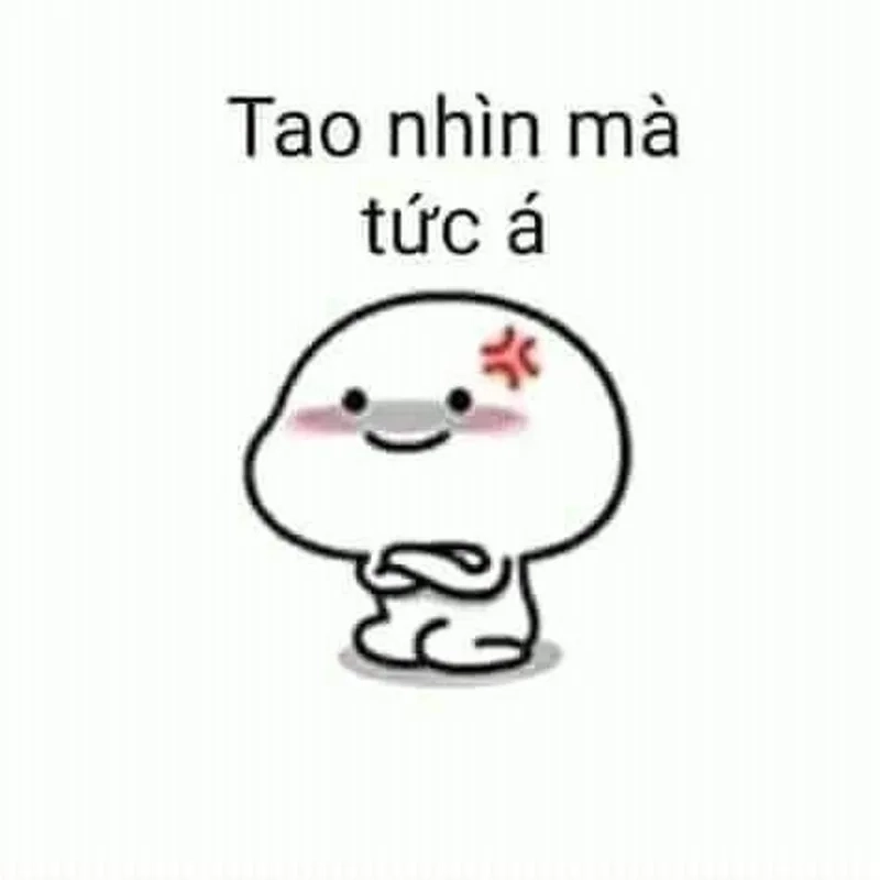 Meme mèo khoanh tay giận đáng yêu, hài hước không đỡ nổi.