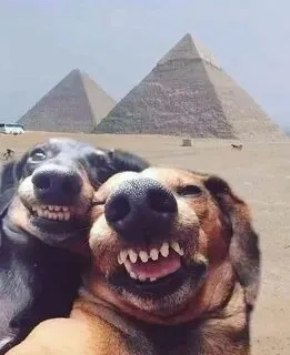 Hài hước ảnh người que meme với những hình ảnh đầy sáng tạo, mang đến những trận cười sảng khoái.