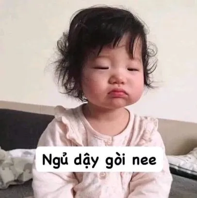 Nhộn hài meme chuột hamster với những biểu cảm ngộ nghĩnh sẽ làm bạn phải cười thả ga.