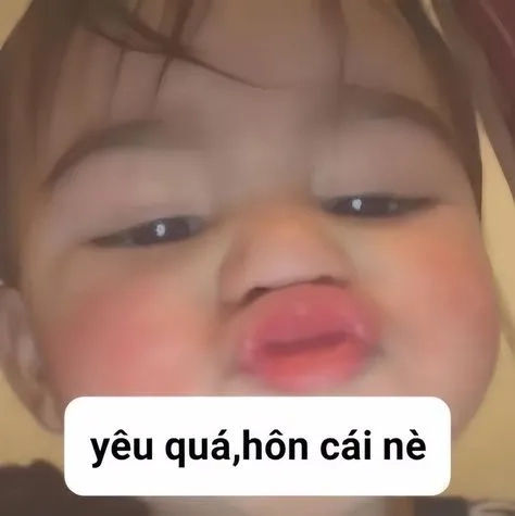 Cute ảnh meme hài, những khoảnh khắc dễ thương gây cười không ngừng.