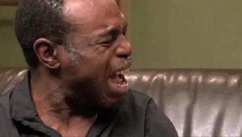 Meme mèo hài dễ thương khiến mọi người không thể không cười vì sự ngộ nghĩnh của mèo.
