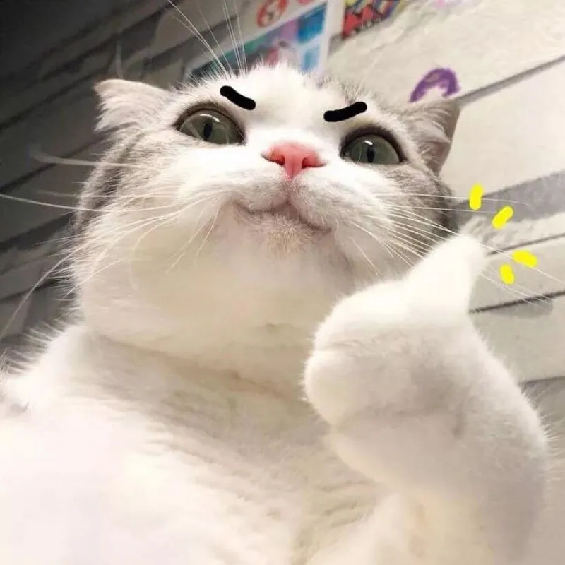 Buồn meme mèo khóc mang lại những cảm xúc khó tả nhưng vẫn vui.