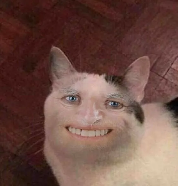 Meme con mèo khóc thét tạo cảm giác ngạc nhiên và hài hước.