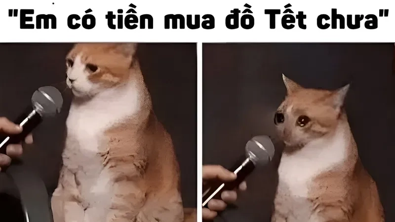 Meme đưa tiền 500k tạo ra sự vui nhộn cực kỳ thú vị và bất ngờ.