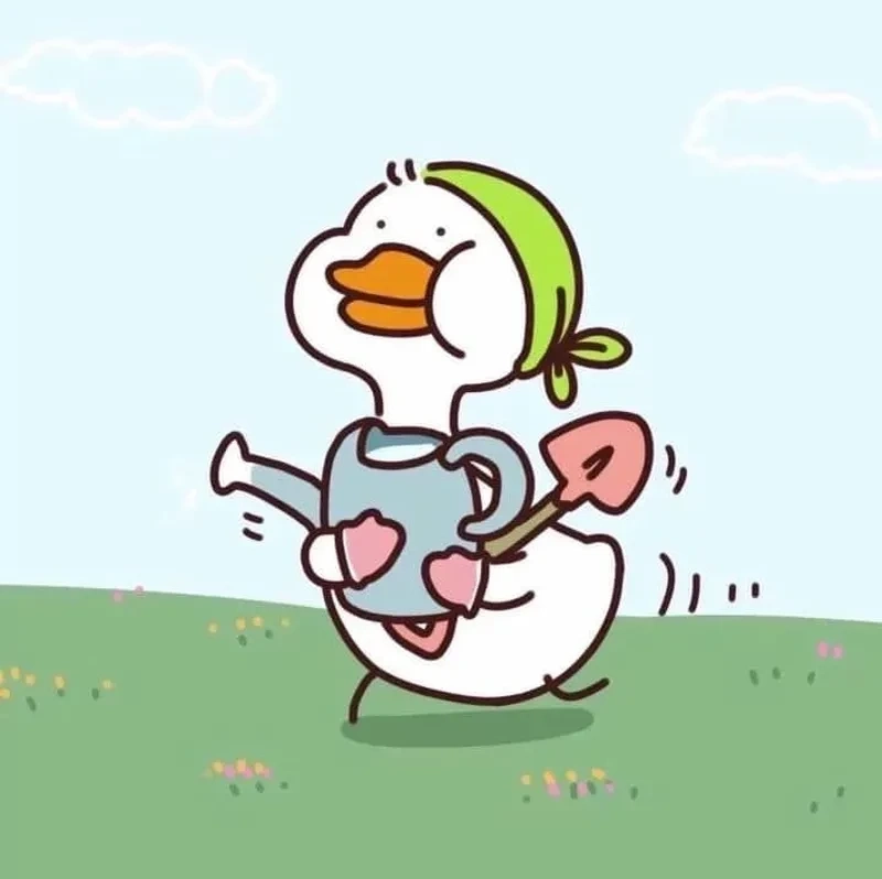Duck vịt meme hài hước, thu hút ánh nhìn của cộng đồng mạng.