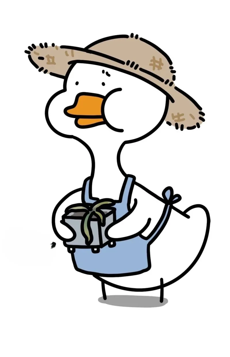 Meme vịt trắng dễ thương, hoàn hảo cho mọi bài đăng vui nhộn.
