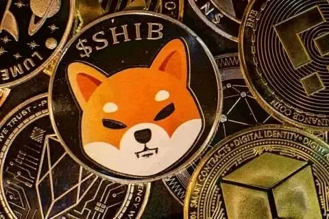 Suspicious dog meme ánh mắt hài hước, không thể bỏ qua.