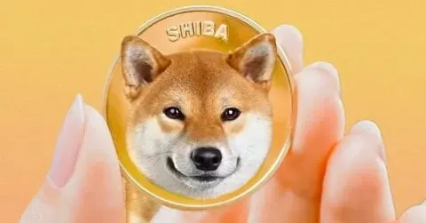 Dog staring meme, ánh mắt hài hước khiến ai cũng thích.