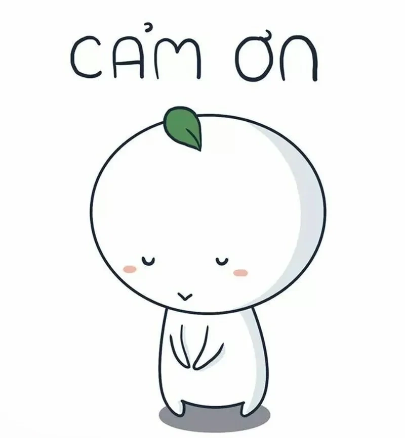 Hình ảnh thank you slide meme đầy ý nghĩa và hấp dẫn. 