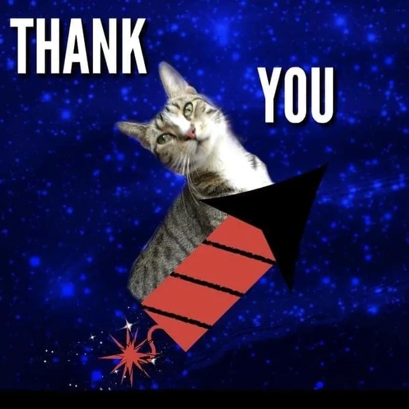 Hài hước và đáng nhớ với meme thank you for watching. 
