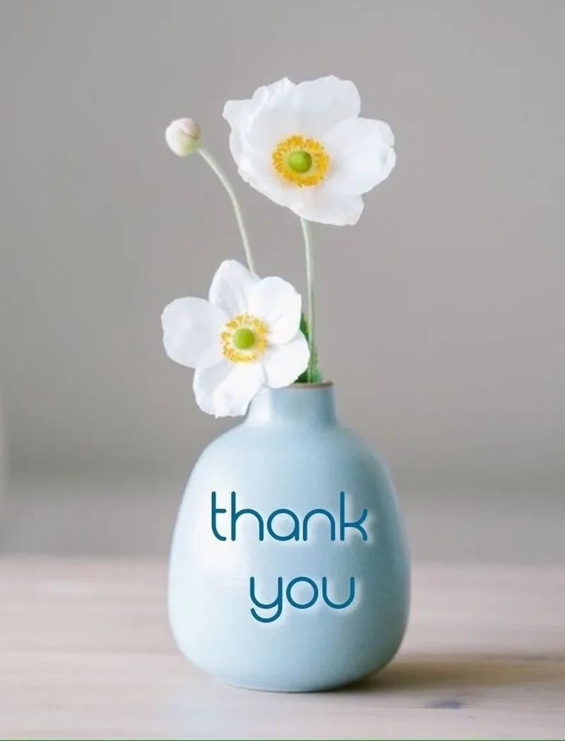 Hình ảnh thank you for watching meme hài hước và đầy ấn tượng. 