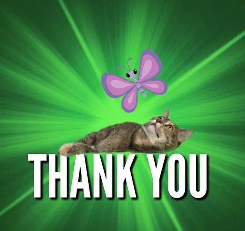 Hình ảnh thank you meme cảm ơn ngộ nghĩnh và thú vị. 