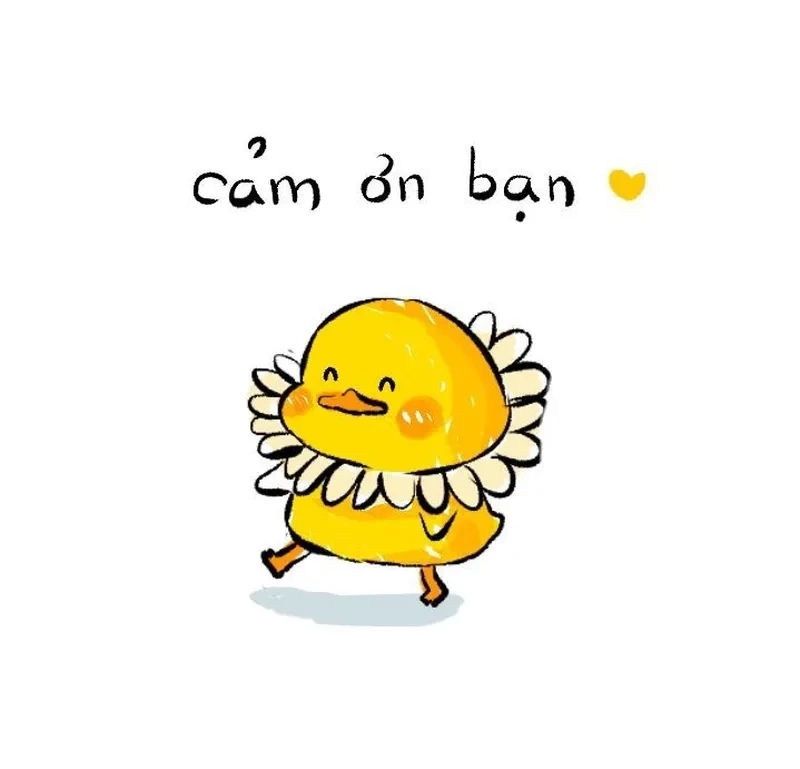 Meme everyone say thank you lan tỏa tinh thần tích cực. 