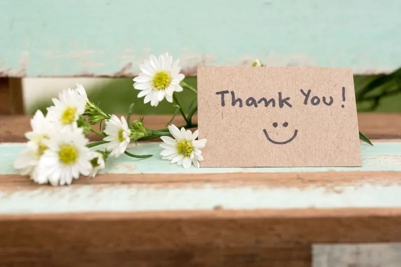Hài hước với hình ảnh thank you meme cat đáng yêu. 