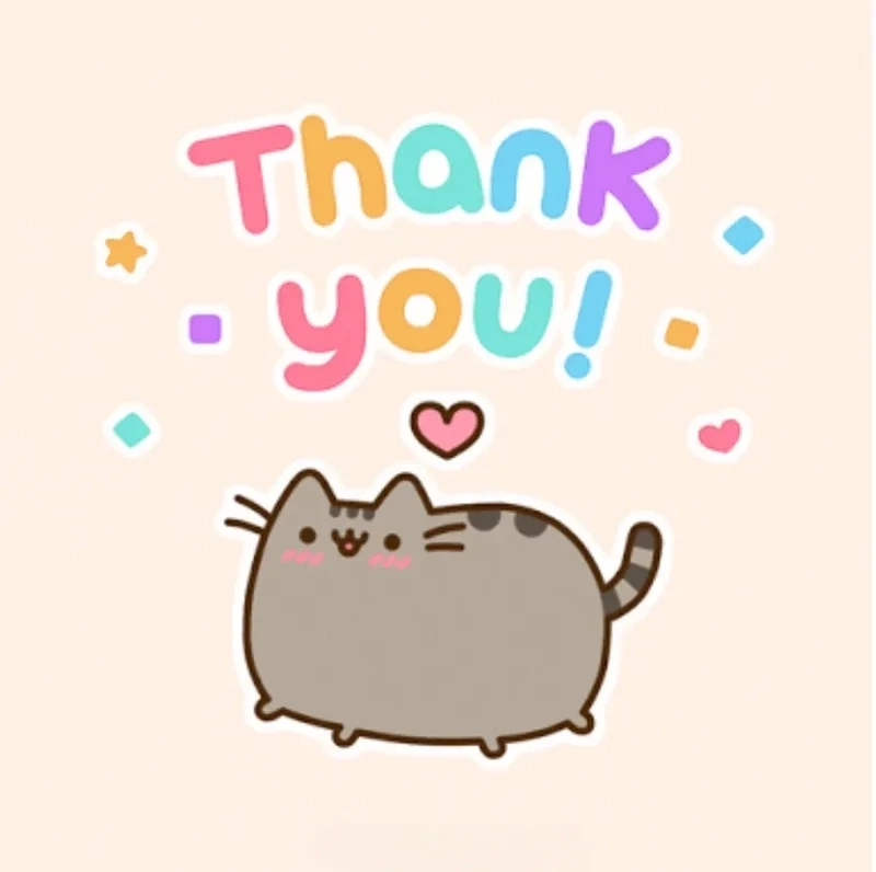 Hình ảnh meme cat thank you là lựa chọn hài hước để gửi lời cảm ơn. 