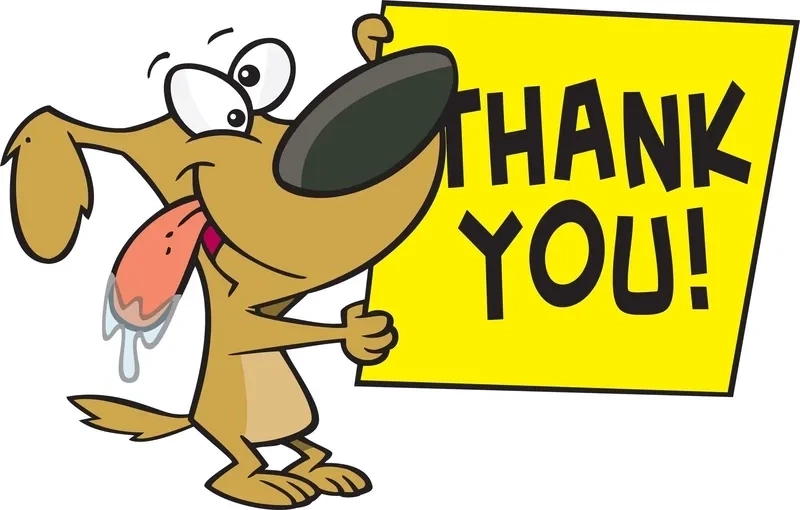 Hình ảnh no thank you meme funny mang lại tiếng cười vui vẻ. 