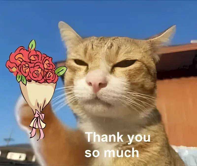 Hình ảnh thank you Disney meme đầy màu sắc và hấp dẫn. 