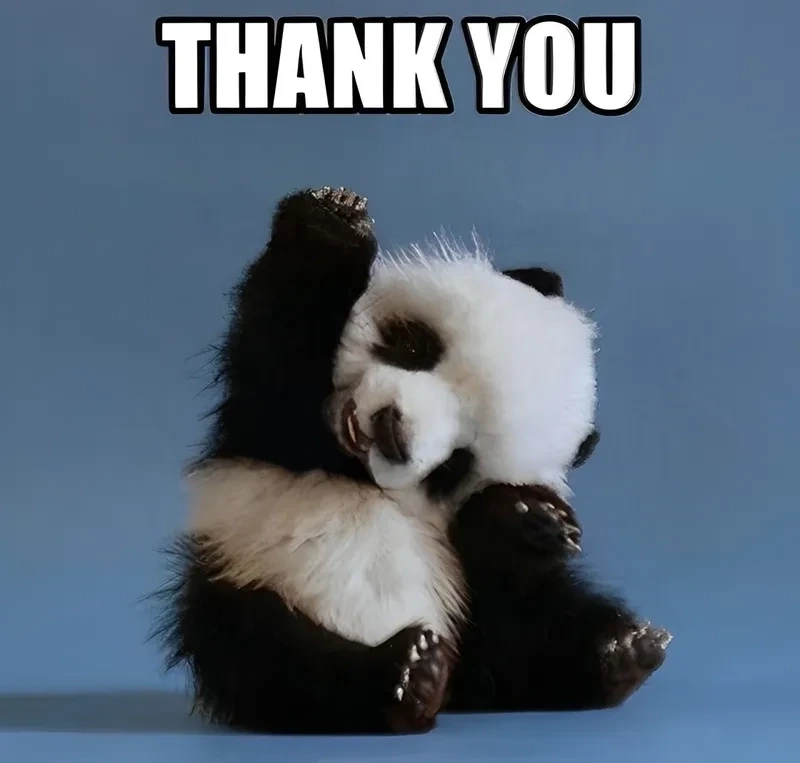Meme i never said thank you Batman mang tính biểu tượng. 