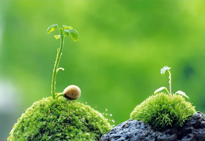Ảnh đại diện đẹp cho zalo dễ thương cá tính phù hợp với bạn